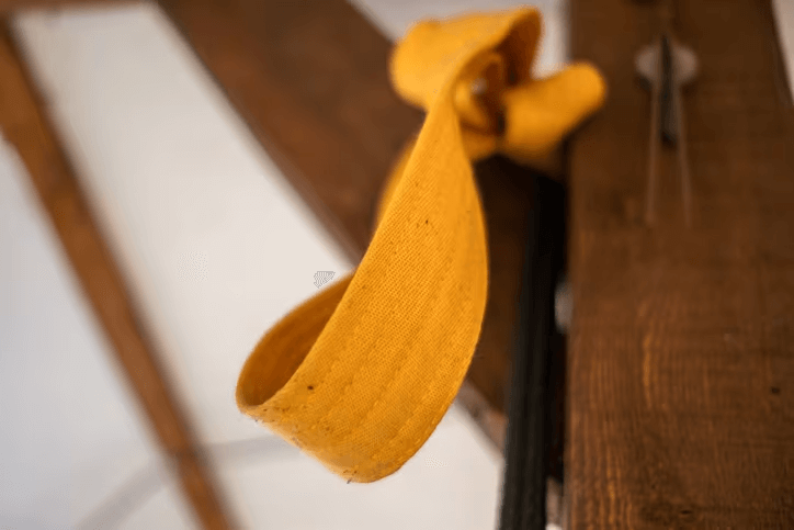 We’re Getting Belts! Command Alkon’s Journey Towards Continuous Improvement